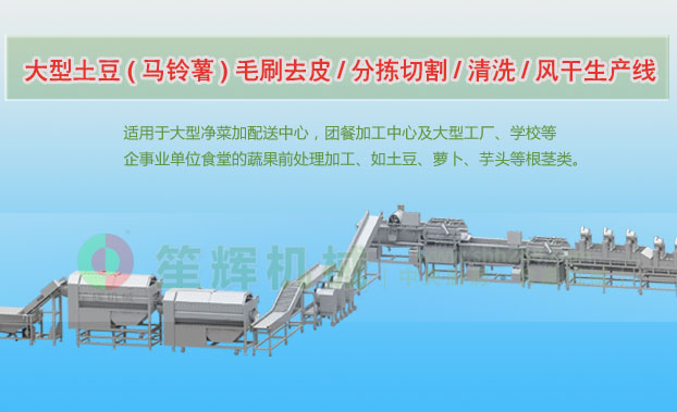 会同连续式土豆去皮清洗切割风干生产线